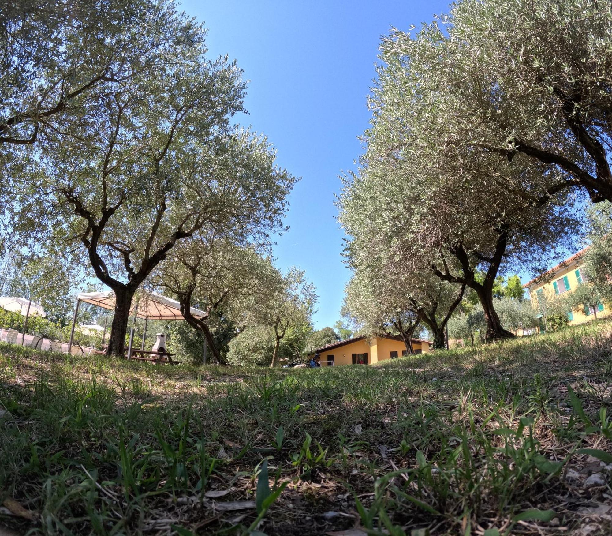 Agriturismo Gardenali Volta Mantovana Rom bilde