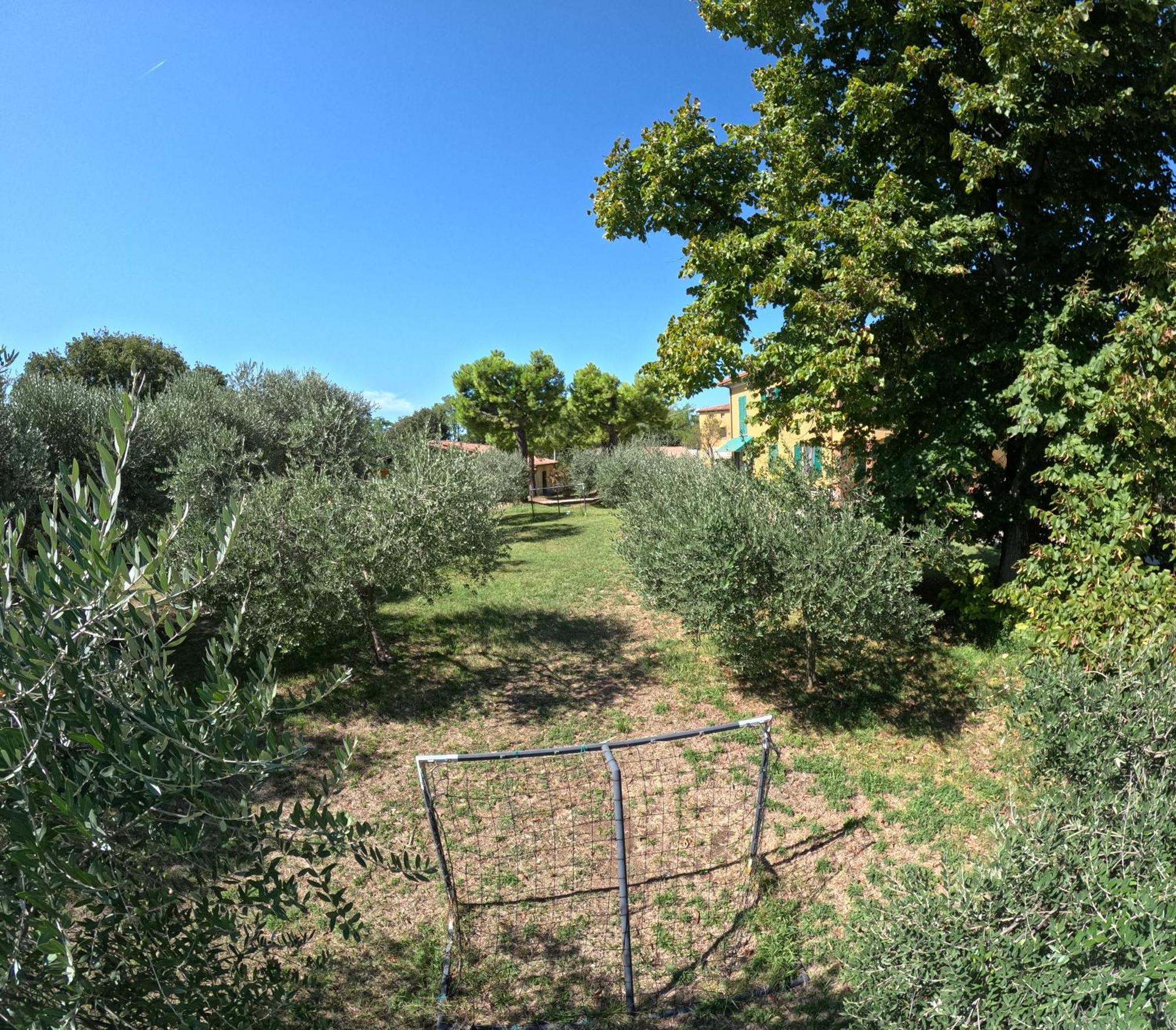 Agriturismo Gardenali Volta Mantovana Eksteriør bilde