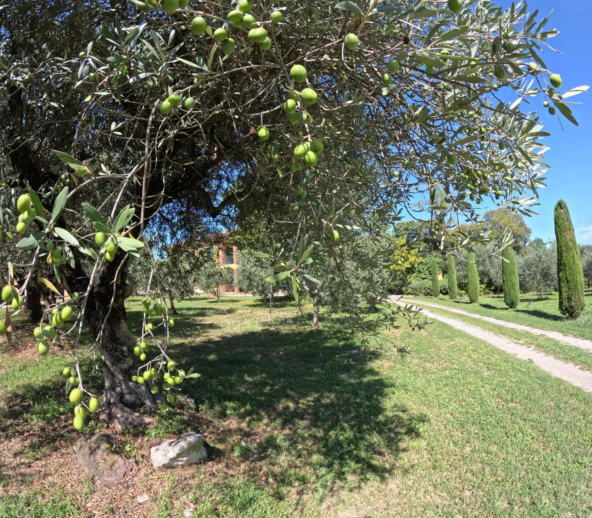 Agriturismo Gardenali Volta Mantovana Eksteriør bilde