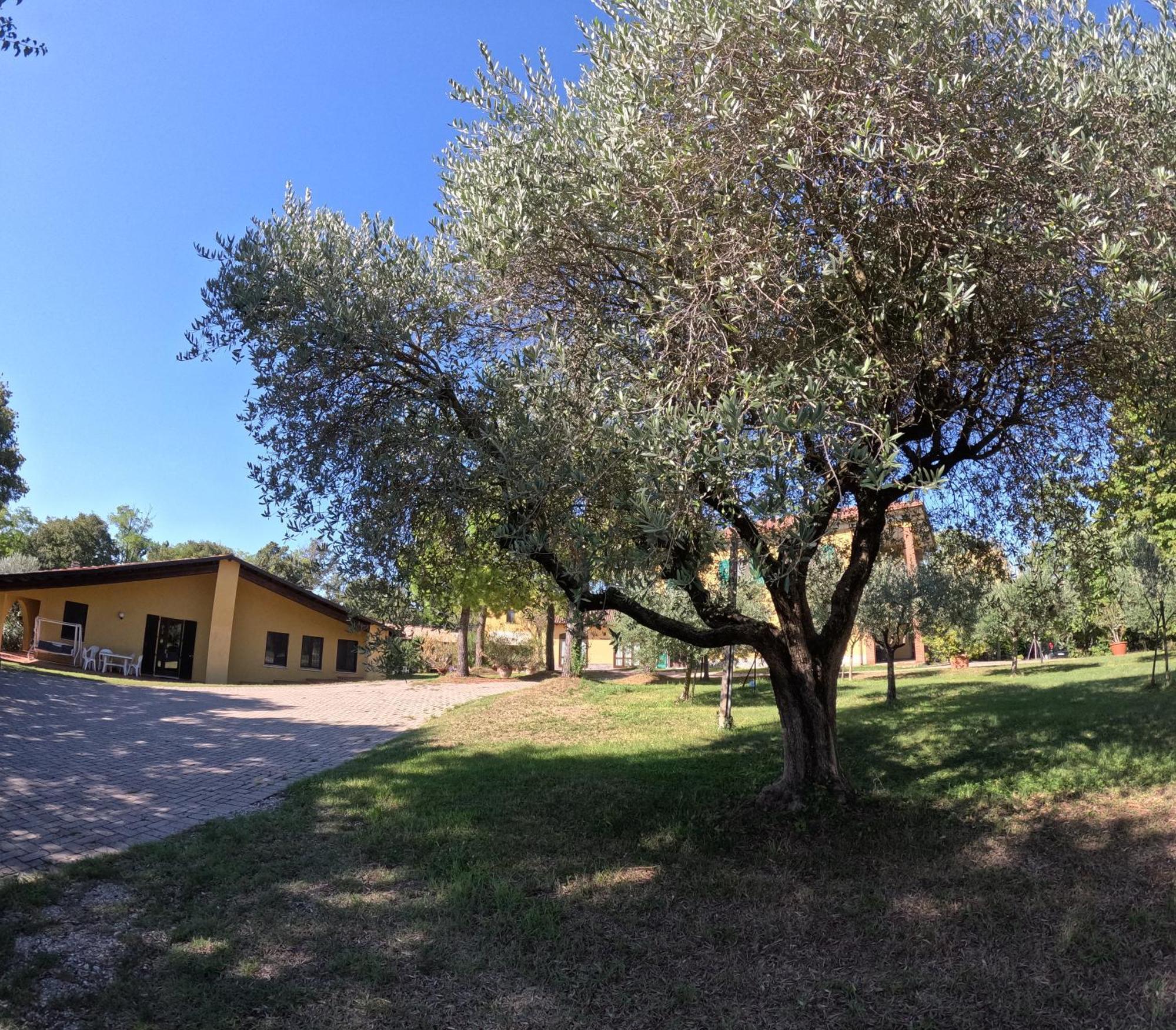 Agriturismo Gardenali Volta Mantovana Eksteriør bilde