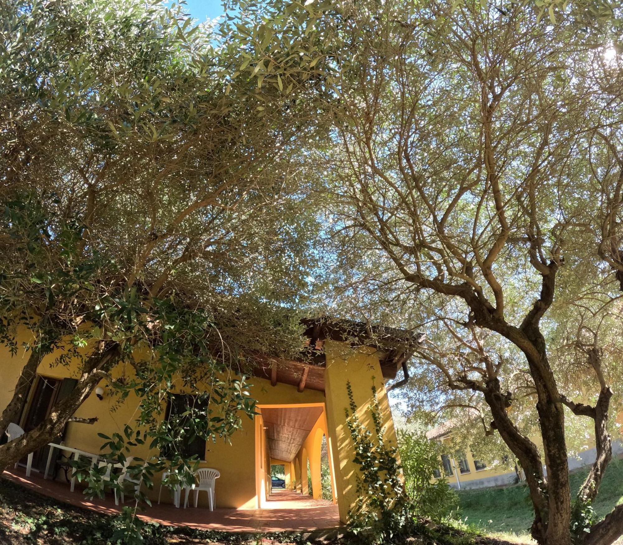Agriturismo Gardenali Volta Mantovana Eksteriør bilde